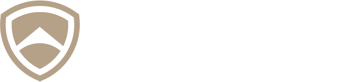 شــرکت دانش&zwnj;بنیان توسعه امــن آســا
